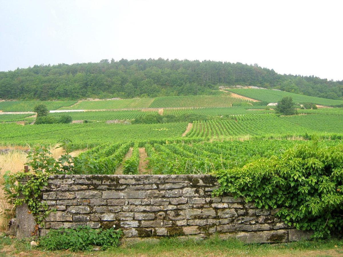 Le Richebourg - Charmant T2 Cosy, Tout Confort Жевре-Шамбертен Экстерьер фото