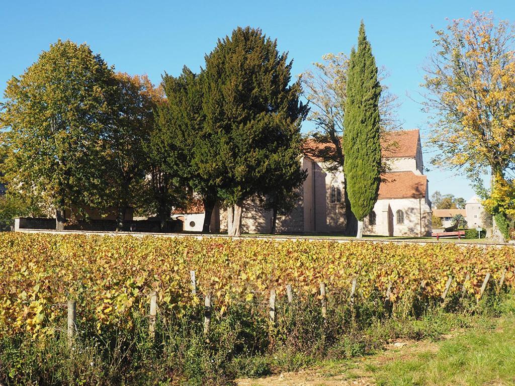 Le Richebourg - Charmant T2 Cosy, Tout Confort Жевре-Шамбертен Экстерьер фото
